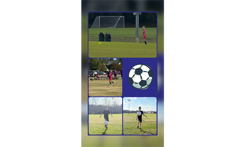 Rising New Star 